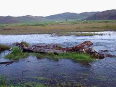 Рядом неспешно несла свои воды река Тамир
